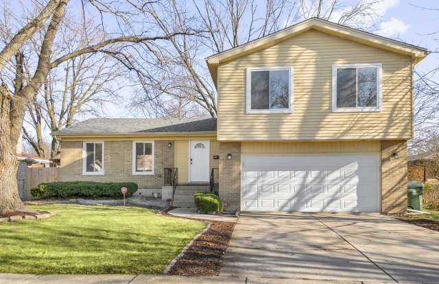 18543 Center Avenue - 18543 Center Avenue, Homewood, IL 60430