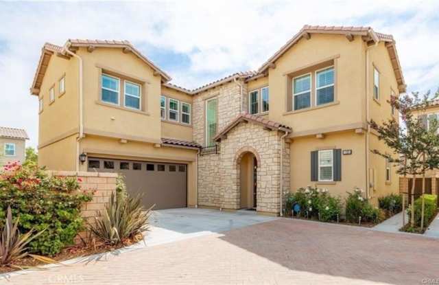 13 Torosa photos photos