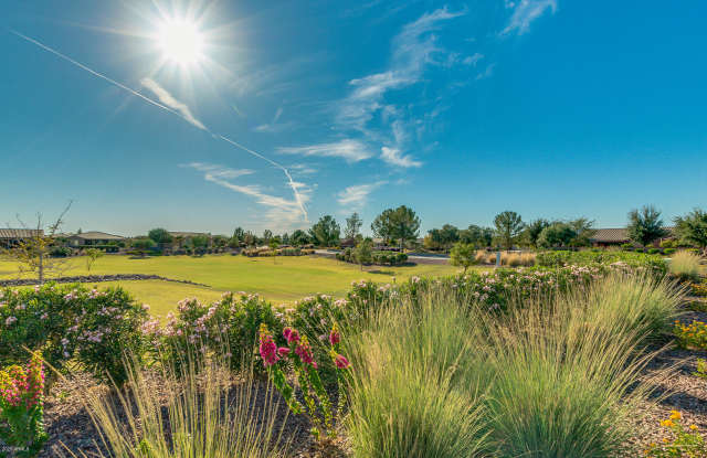 20150 N PEPPERMINT Drive Gallery 4