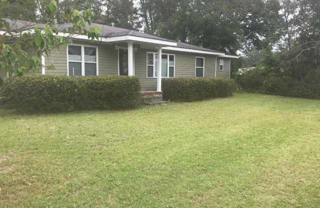 363 South McDonald Street - 363 South McDonald Street, Ludowici, GA 31316
