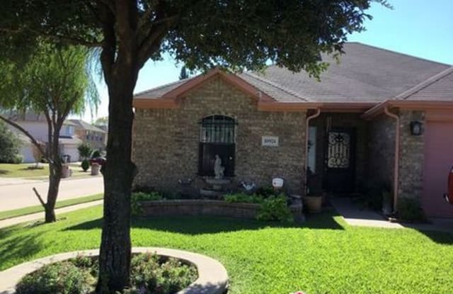 10924 Spring Tree Drive - 10924 Spring Tree Drive, Balch Springs, TX 75180