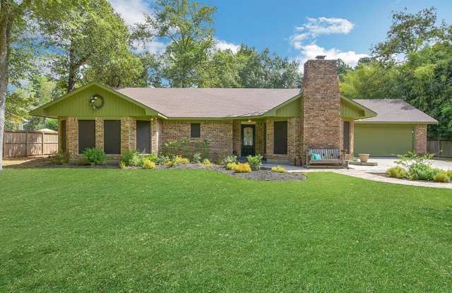 22710 Bramblevine Drive - 22710 Bramblevine Drive, Montgomery County, TX 77355