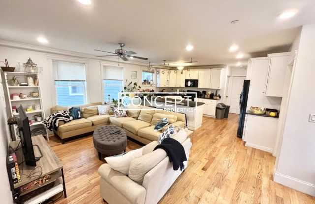 12 Fern Gallery 3