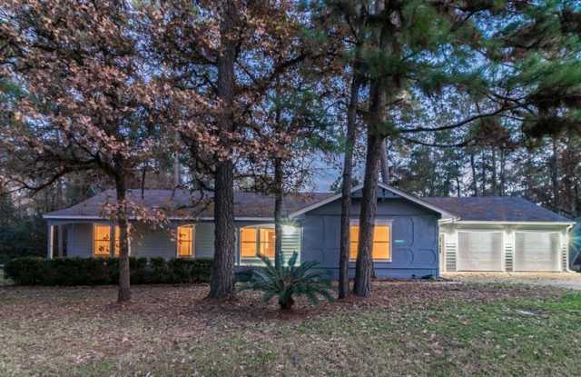 25102 Penguin Street - 25102 Penguin Street, Montgomery County, TX 77355