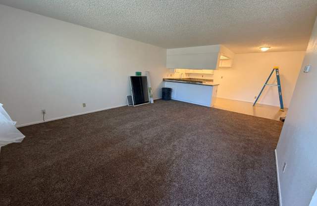 118 W Boone St #A1 photos photos