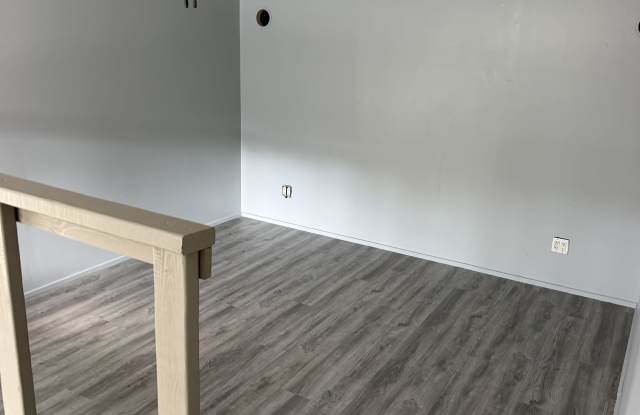 914 Chicago Avenue - Apartment 1 Gallery 3