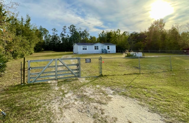 171 Mandrake St - 171 Mandrake Street, Middleburg, FL 32068