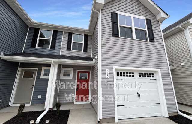 305 Mancini Drive photos photos