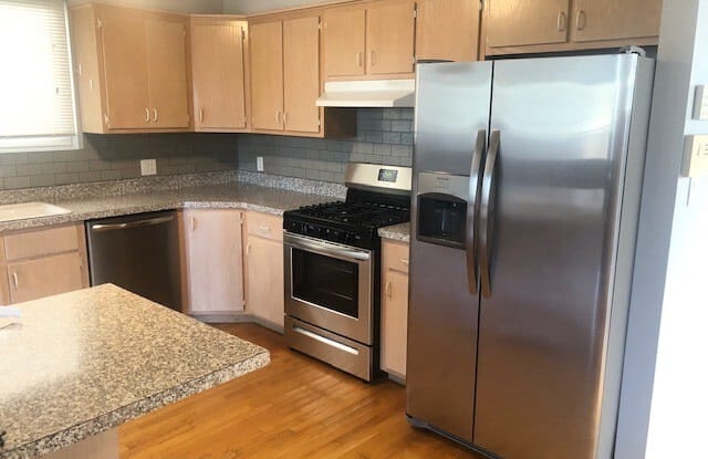 1244 North Paulina Street - 1244 North Paulina Street, Chicago, IL 60622