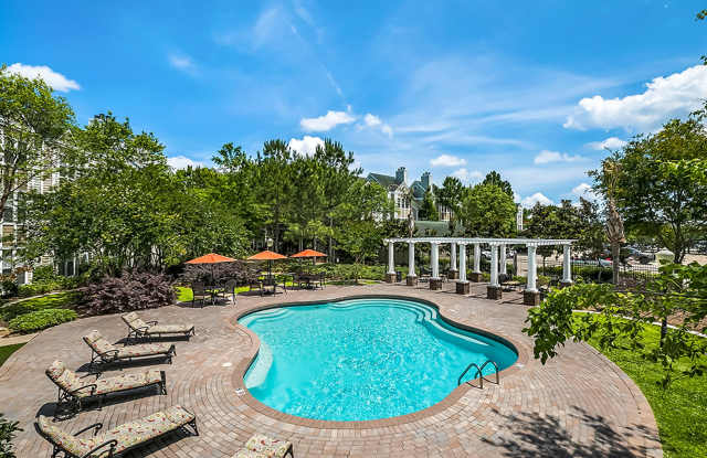 Palmetto Creek photos photos