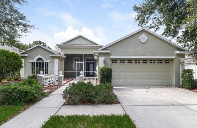 16805 HARRIERRIDGE PLACE - 16805 Harrierridge Place, Fish Hawk, FL 33547
