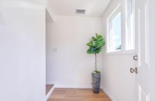 36 Orchard St photos photos