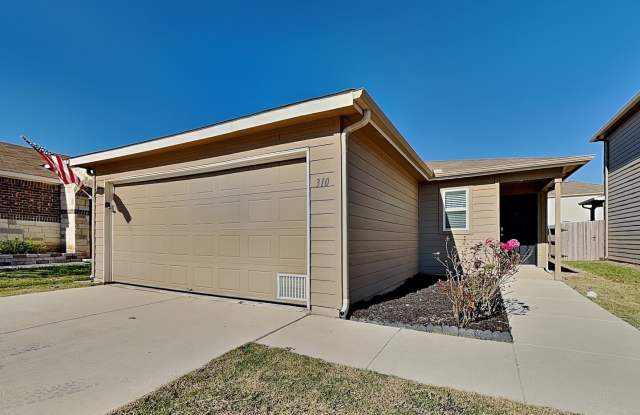 310 Mistflower photos photos