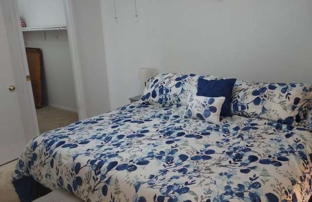 BOTTOM FLOOR SEASONAL RENTAL Gallery 3