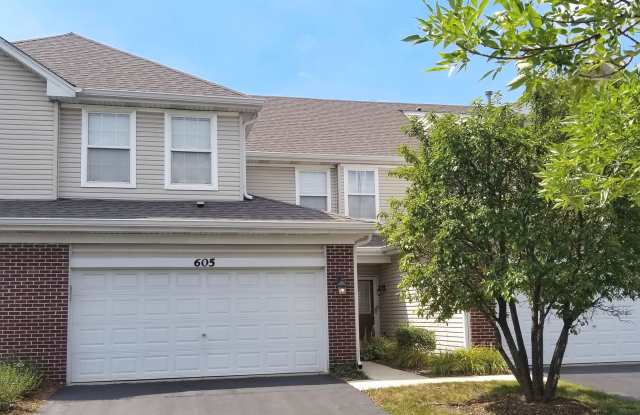 605 Esla Court - 605 Esla Court, Naperville, IL 60563