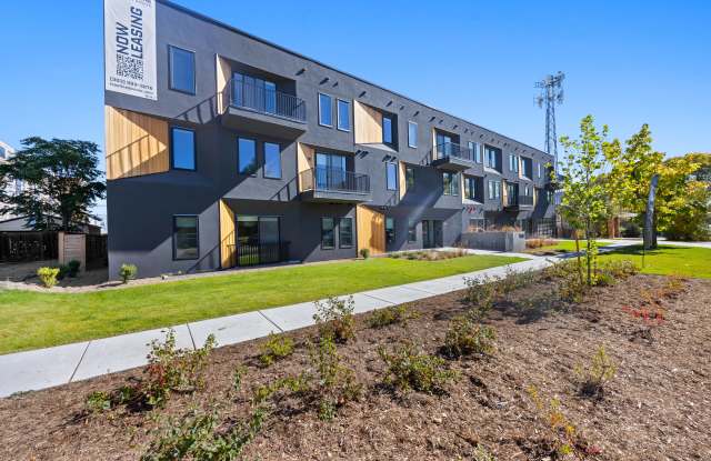 Treeline photos photos Treeline photos photos