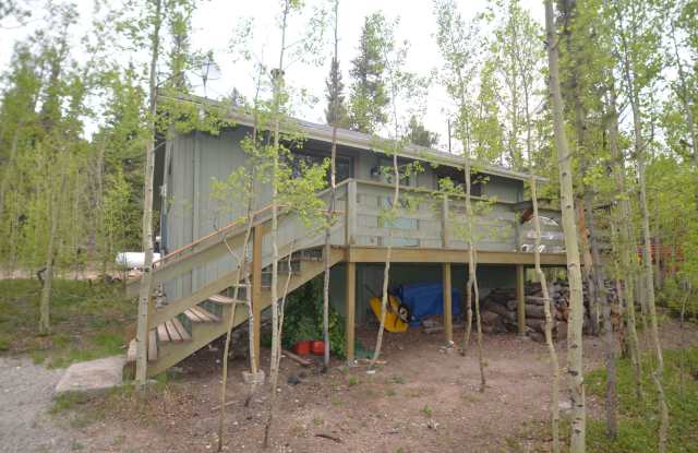 Mountain home tucked in the woods! 45 Minutes to Breck! Boarders National Forest! photos photos
