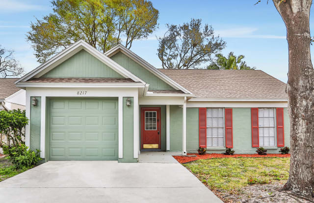 8217 Natchez Street - 8217 Natchez Street, East Lake-Orient Park, FL 33637