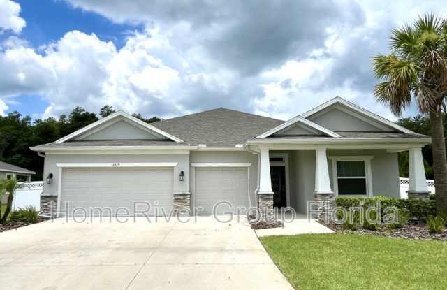 12324 Talavera Woods Trl - 12324 Talavera Woods Trail, Riverview, FL 33579