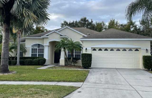 9736 OSPREY LANDING DRIVE - 9736 Osprey Landing Drive, Orange County, FL 32832