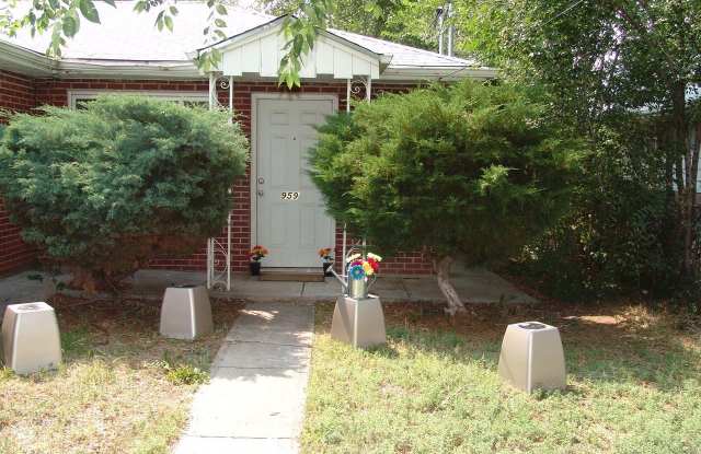 959 Newton St - 959 Newton Street, Denver, CO 80204