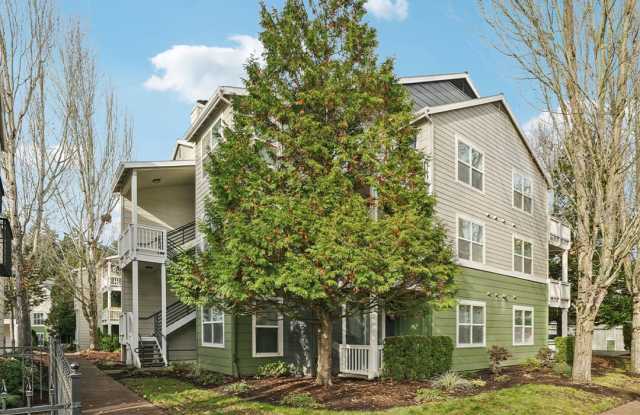 Palladia photos photos