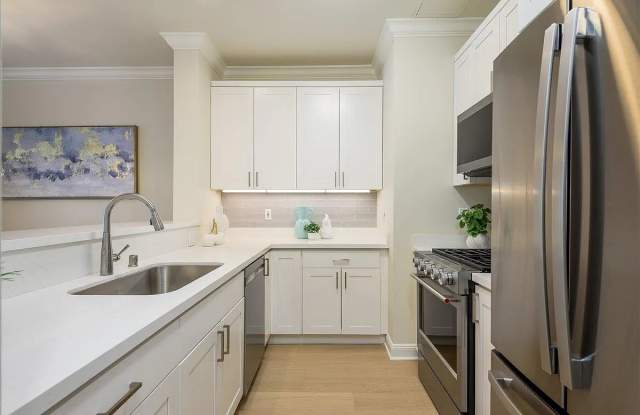 1568 Union St Apt 201 Gallery 2