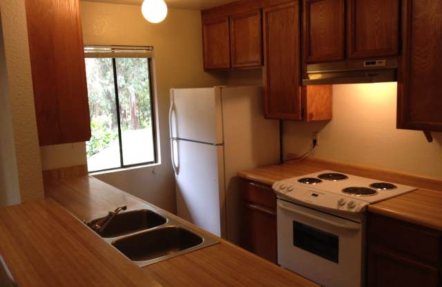 Walk to UC - 145 Torrey Pine Terrace, Santa Cruz, CA 95060