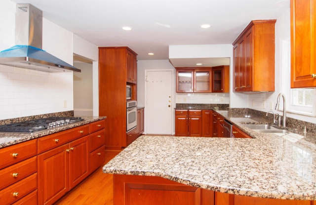 1509 SNUGHILL Court Gallery 4