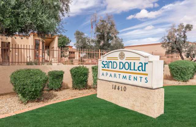 Sand Dollar photos photos