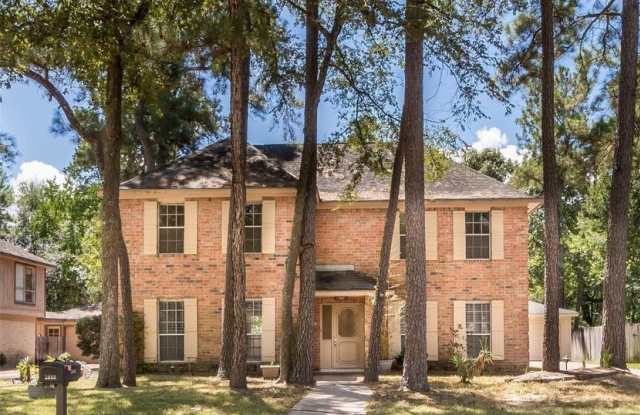 2050 Pine River Drive - 2050 Pine River Drive, Houston, TX 77339