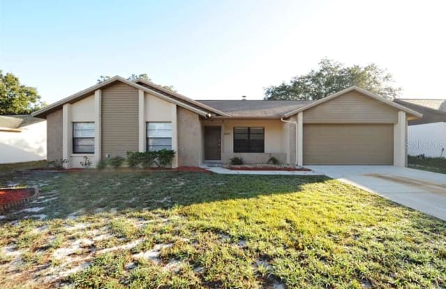 4217 SPRING WAY CIRCLE - 4217 Spring Way Circle, Bloomingdale, FL 33596