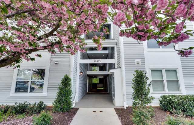 Beautiful 3BR 2BA condo located in the Decoverly neighborhood of Rockville photos photos