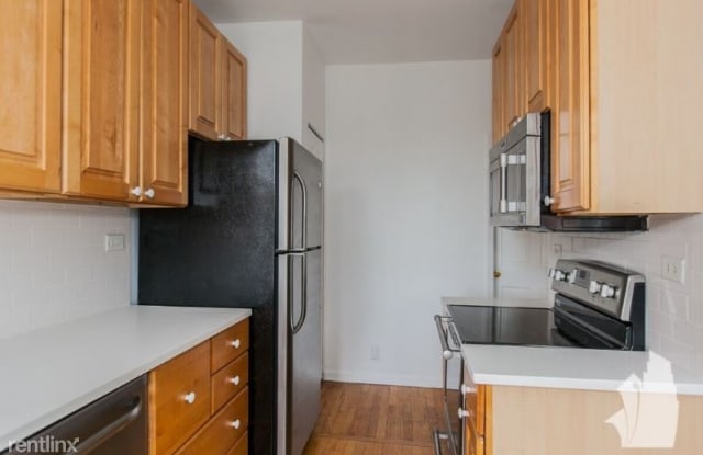 510 W Deming Pl 1N - 510 W Deming Pl, Chicago, IL 60614