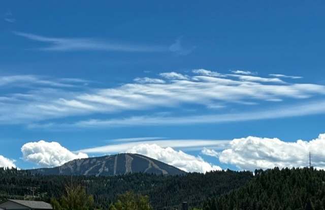 104 College Street - 3 photos photos