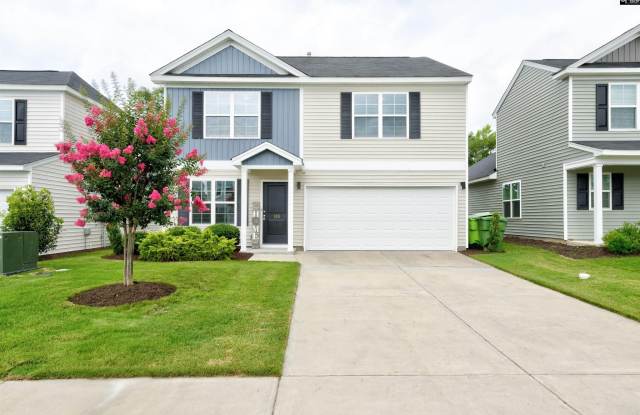 185 Windfall Road - 185 Windfall Road, Richland County, SC 29016