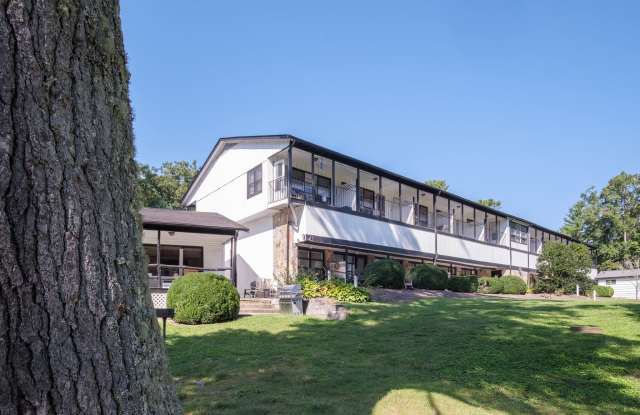 130 Old Mill Road - 201 - 130 Old Mill Road, Flat Rock, NC 28731