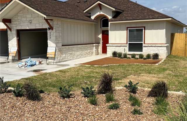 353 Navarro Way - 353 Navarro Way, Seguin, TX 78155