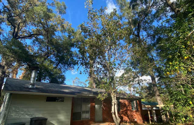 AVAILABLE NOW 3 BEDROOM 2 BATH SINGLE STORY Gallery 3