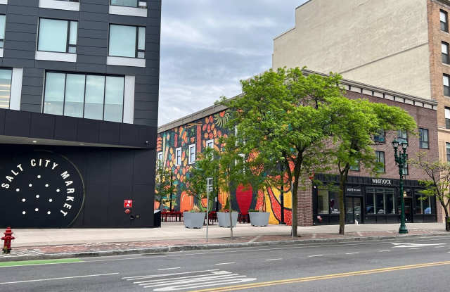 480 South Salina Street - 480 South Salina Street, Syracuse, NY 13202