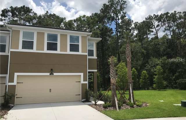 17864 ALTHEA BLUE PLACE - 17864 Althea Blue Place, Cheval, FL 33558
