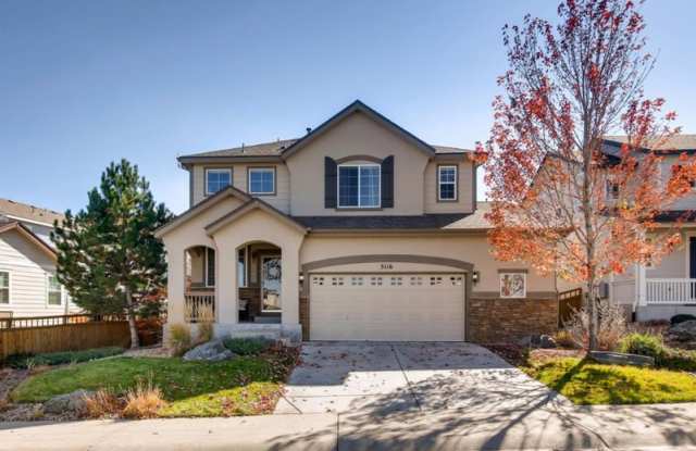 3116 Black Canyon Way - 3116 Black Canyon Way, Castle Rock, CO 80109