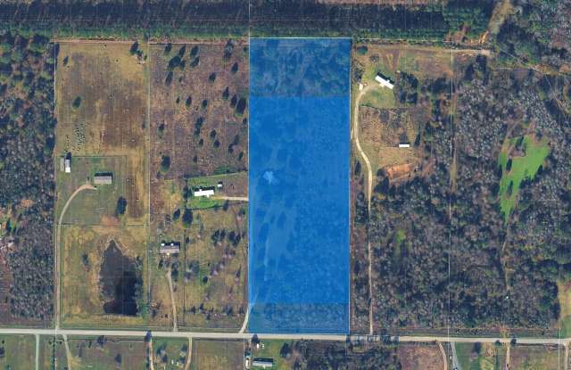 A DEER HUNTER'S DREAM! 10.92 BEAUTIFUL ACRES WITH ABUNDANT WILDLIFE & ENDLESS OUTDOOR POSSIBILITIES! Gallery 3