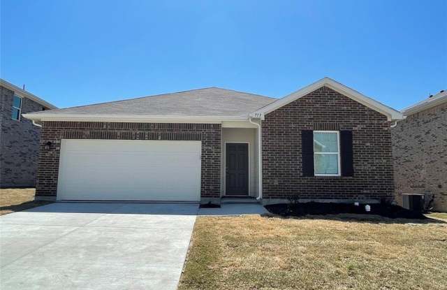 713 Bois D Arc Lane - 713 Bois D'Arc Lane, Anna, TX 75409
