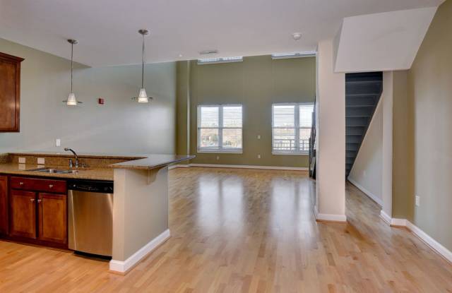 Modern Loft Living in City Center - 670 Town Center Drive, Newport News, VA 23606