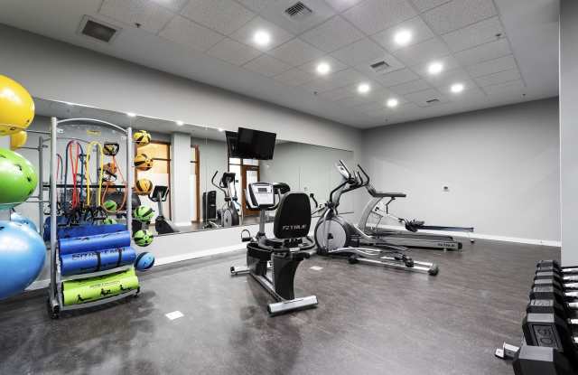 The Dahlia photos photos