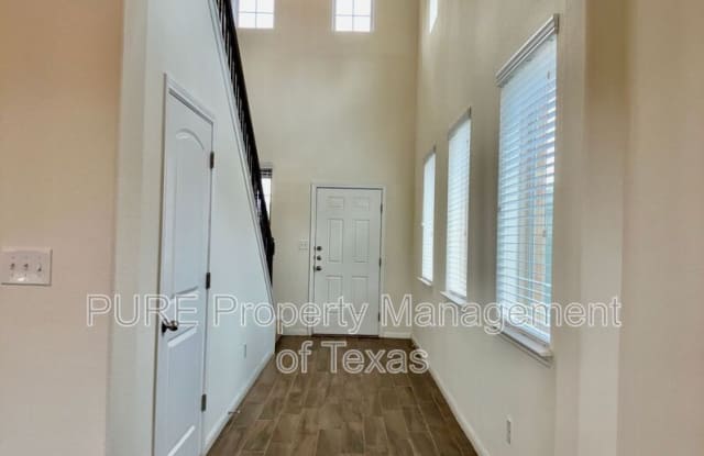 417 Cinnamon Teal Gallery 3