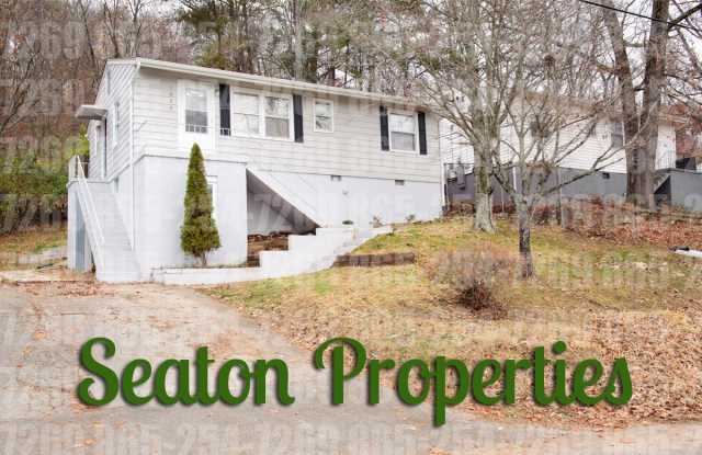 1027 Farragut Street photos photos 1027 Farragut Street photos photos