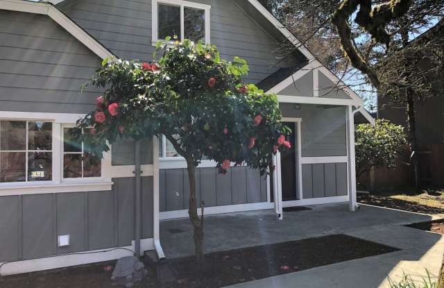 2455 Sidney Lane Gallery 2