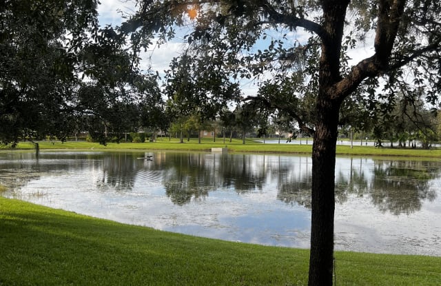 16053 Old Ash Loop - 16053 Old Ash Loop, Alafaya, FL 32828
